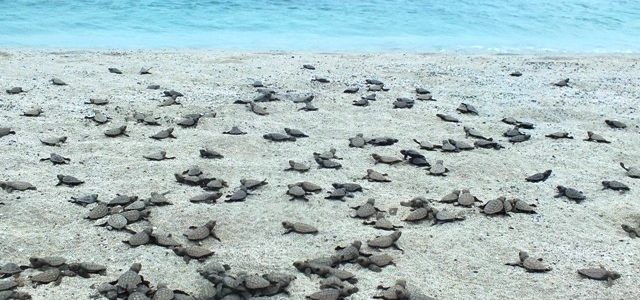 Santa Luzia Cape Verde